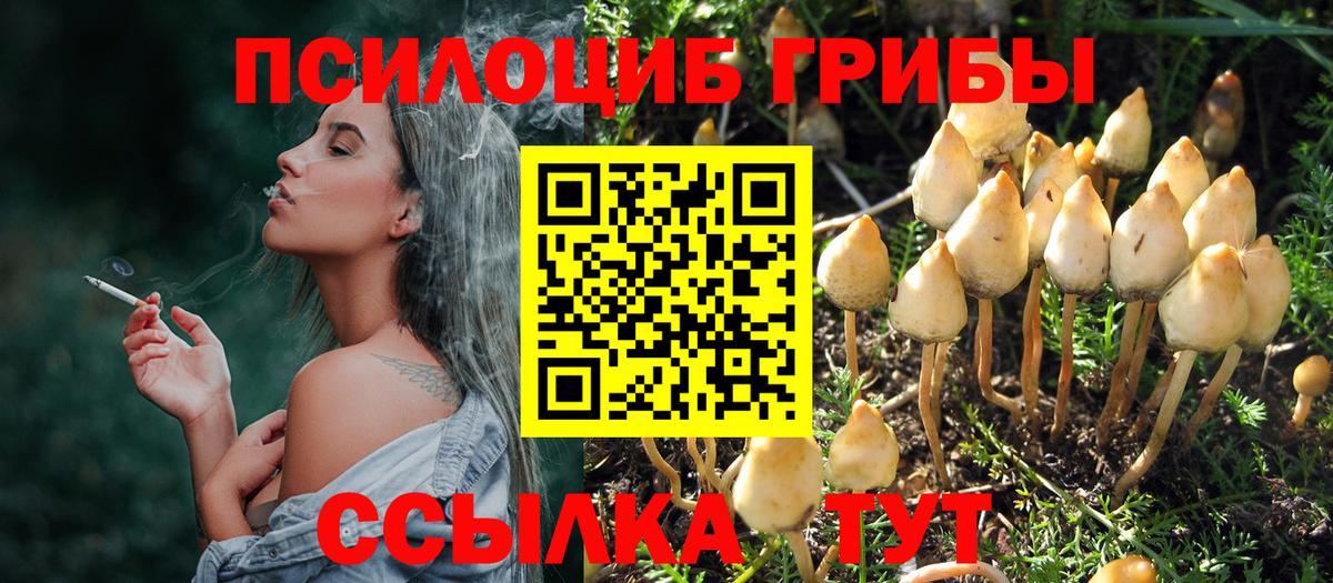 Галлюциногенные грибы Cubensis Красногорск