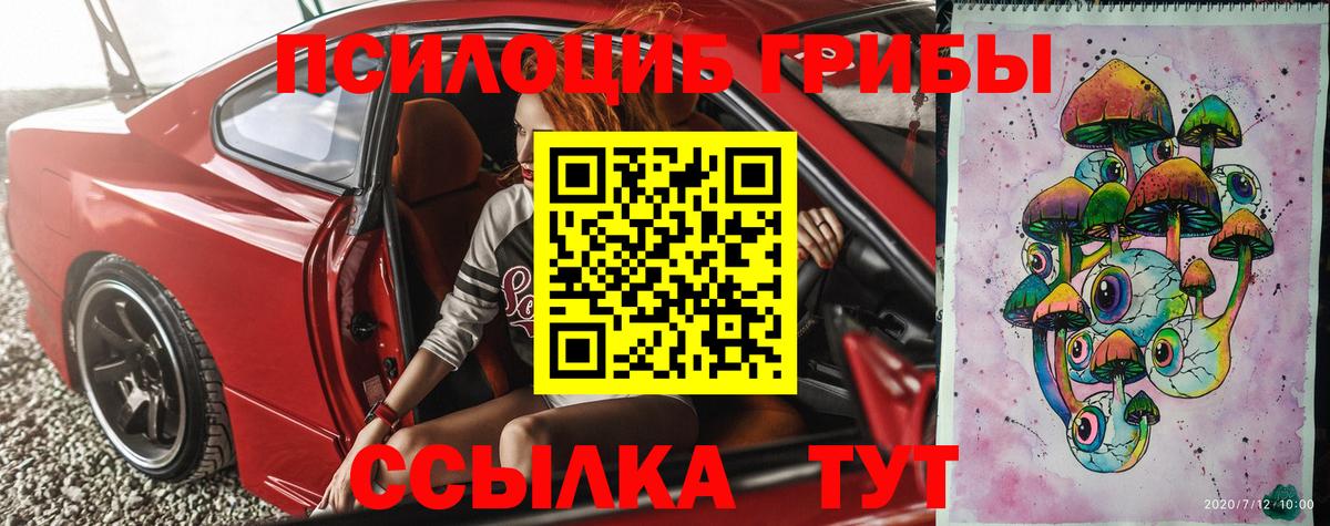 как найти закладки  Псилоцибиновые грибы Magic Shrooms  Вход с VPN  Красногорск 